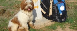 preview_Estepona_2011