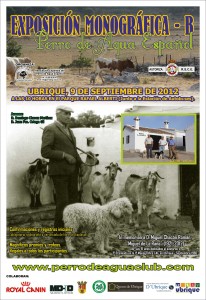 cartel perro agua ubrique 2012