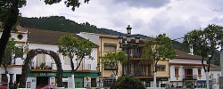 elbosque2