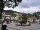 elbosque2