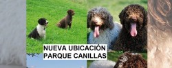 CARTEL PERROS AGUA MORON