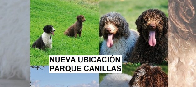 CARTEL PERROS AGUA MORON