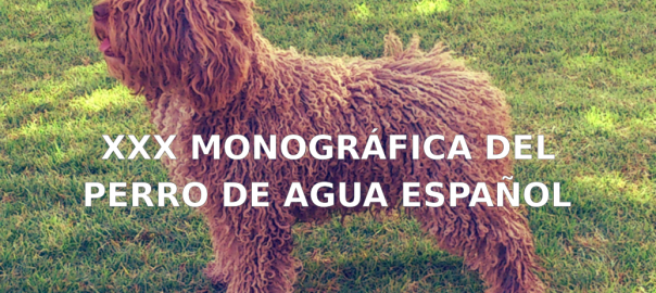 xxx-monografica