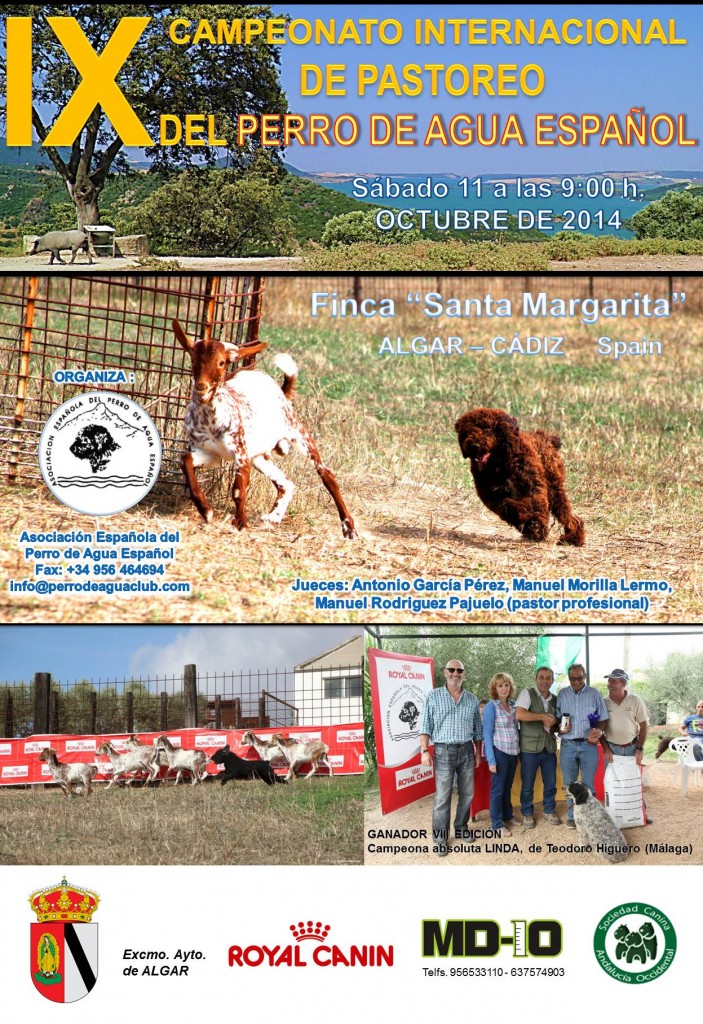 IX Campeonato Internacional de Pastoreo en Algar (Cádiz)